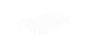 JWO Research Grant