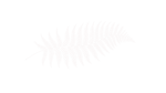 JWO Research Grant